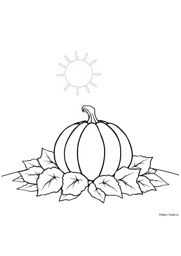 Zucca Da Colorare Per Bambini In Età Prescolare