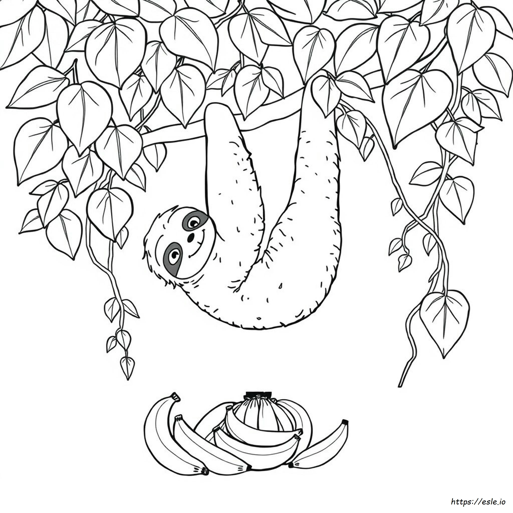 Sloth Colouring