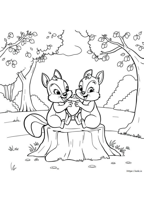 Chip E Dale Disegni Da Colorare