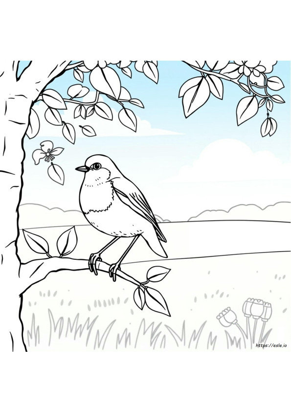 Gambar Mewarnai Burung Robin