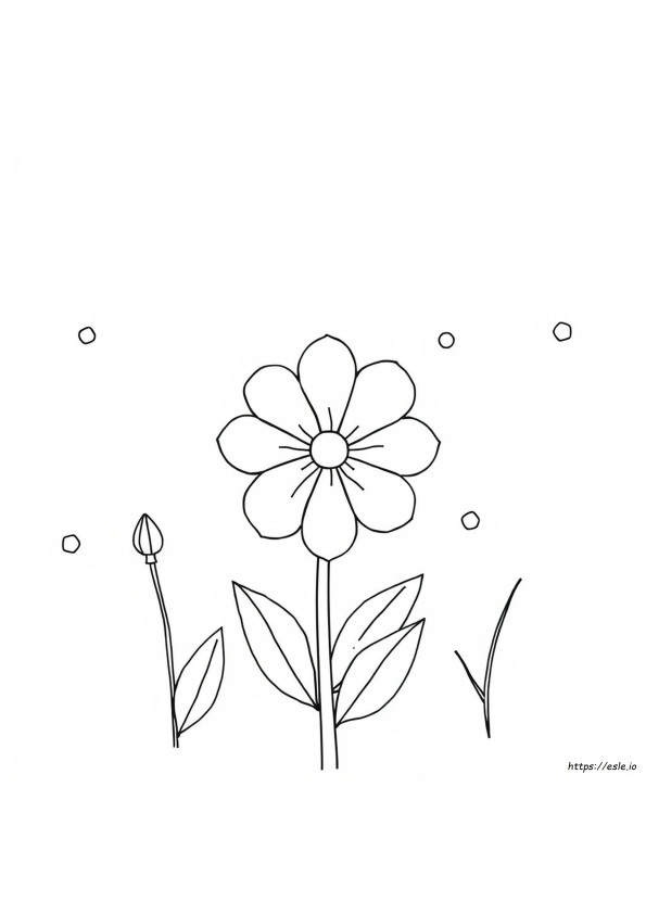 Printable Colouring Patterns