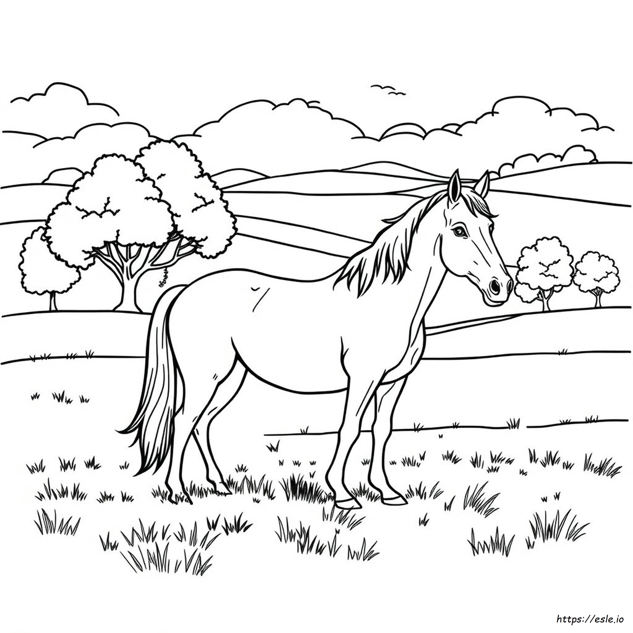 Realistic Coloring Pages Of Horses