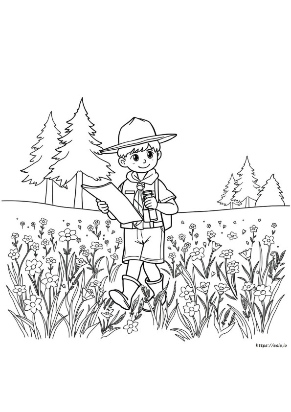 Scout Da Colorare