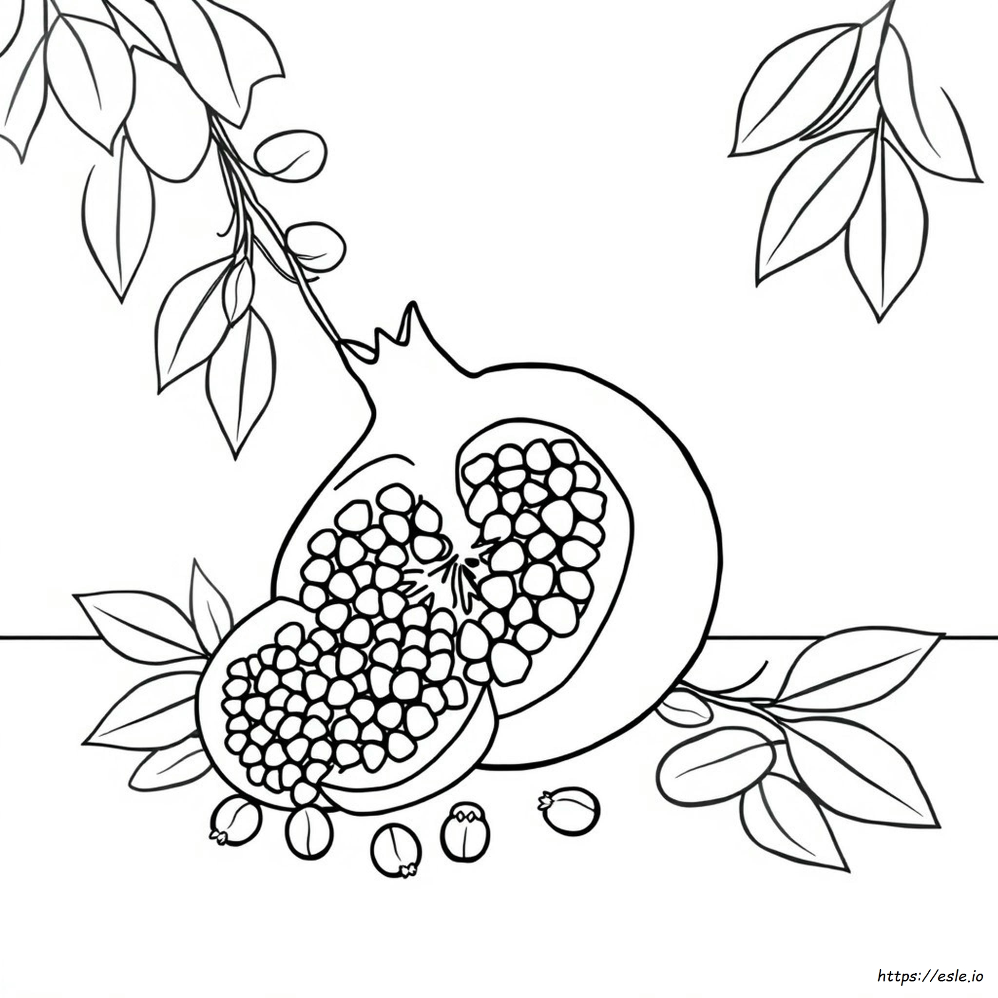 How To Colour Pomegranate
