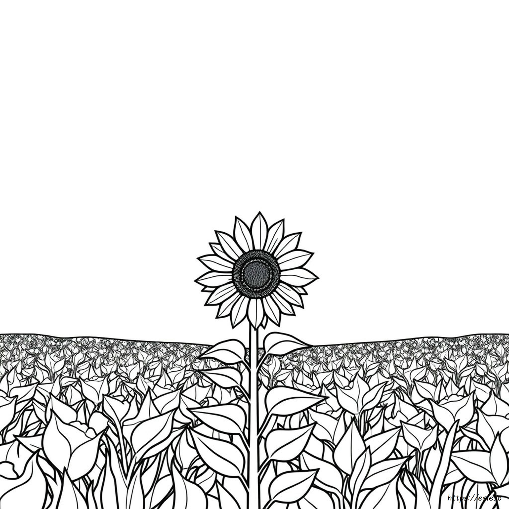 Sunflower Coloring Pages For Kids