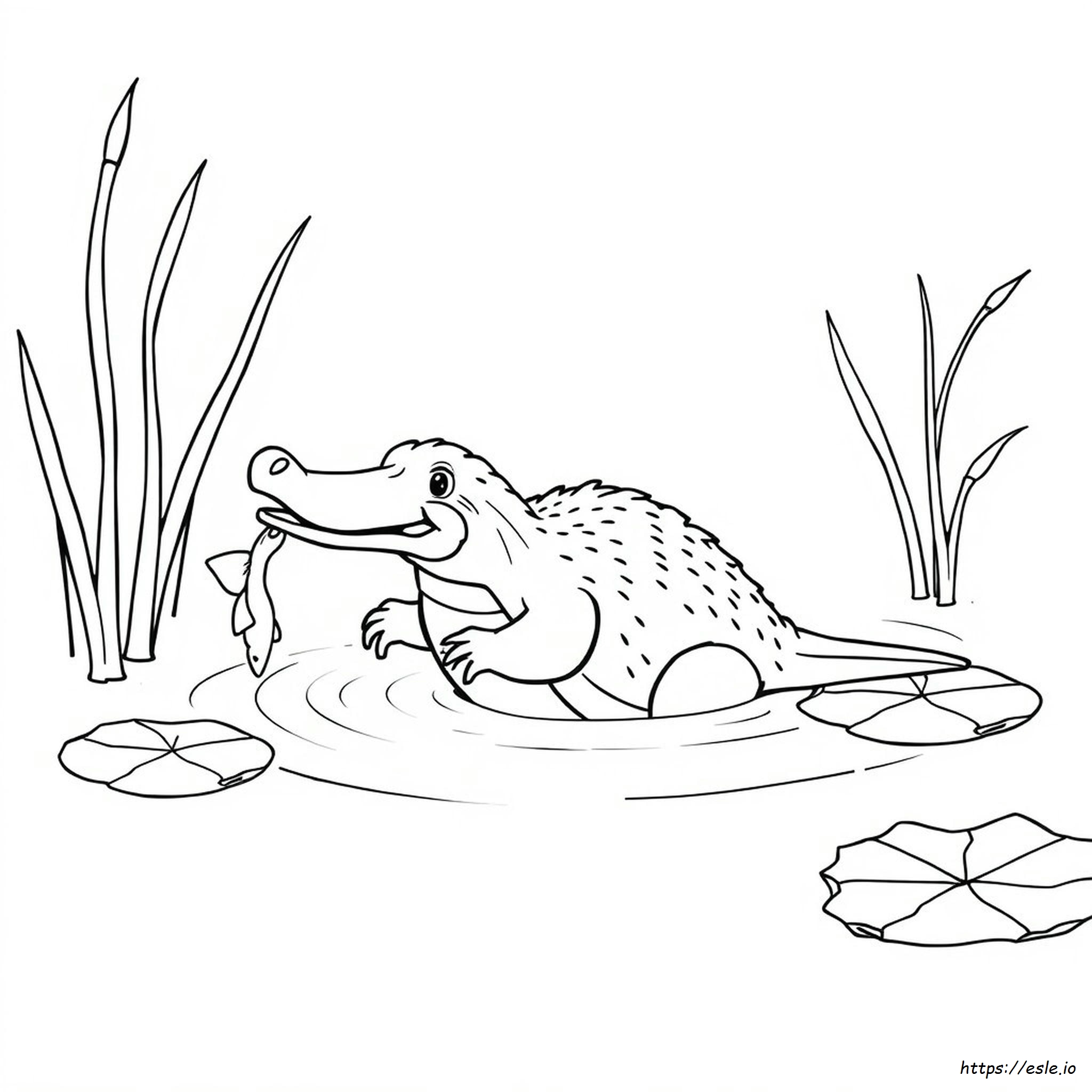Duckbill Platypus Coloring Page