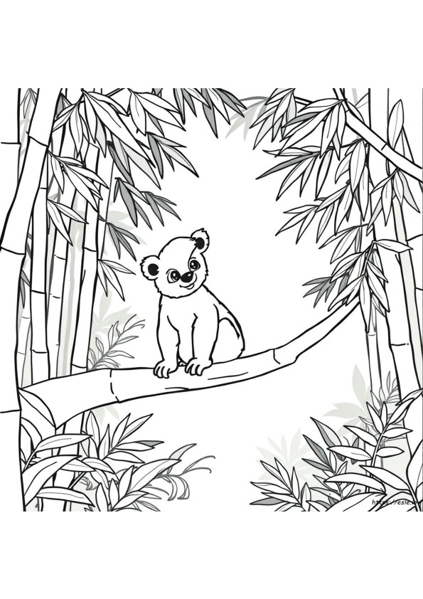 Koala Boyama