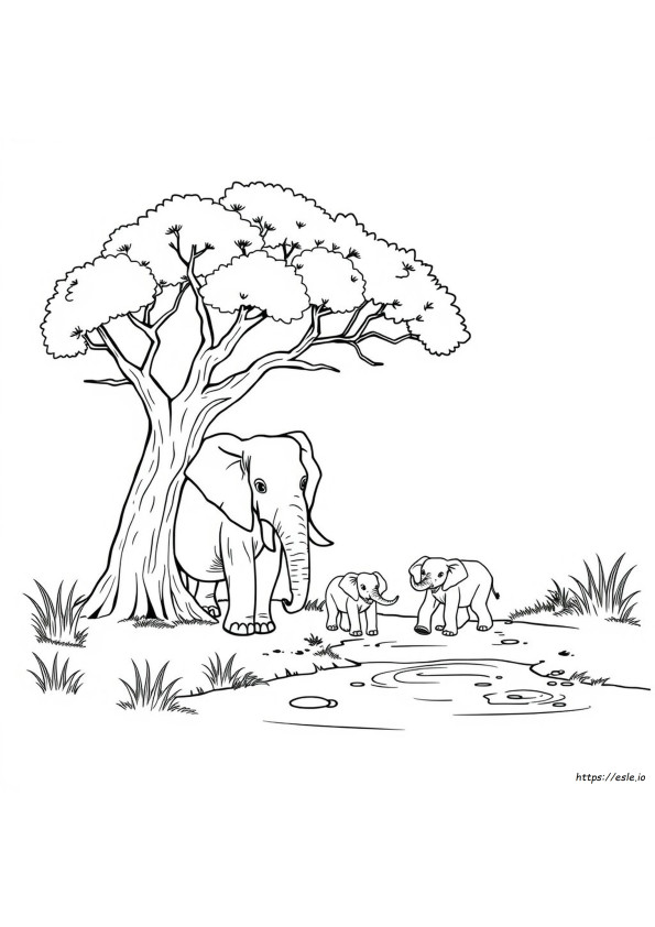Elefante Para Colorir Para Imprimir