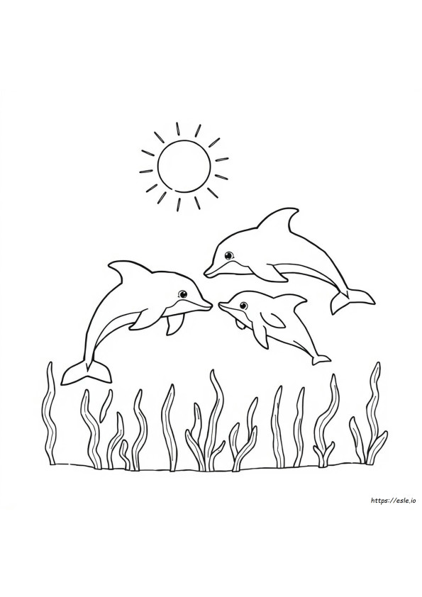 Kolorowanka Delfin