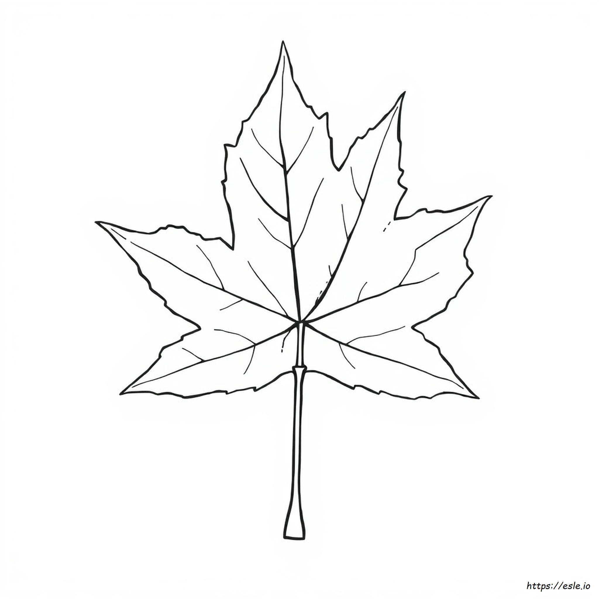 Leaf Coloring Pages To Print