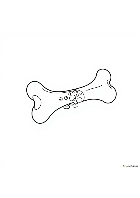 Anatomia Di Un Osso Da Colorare