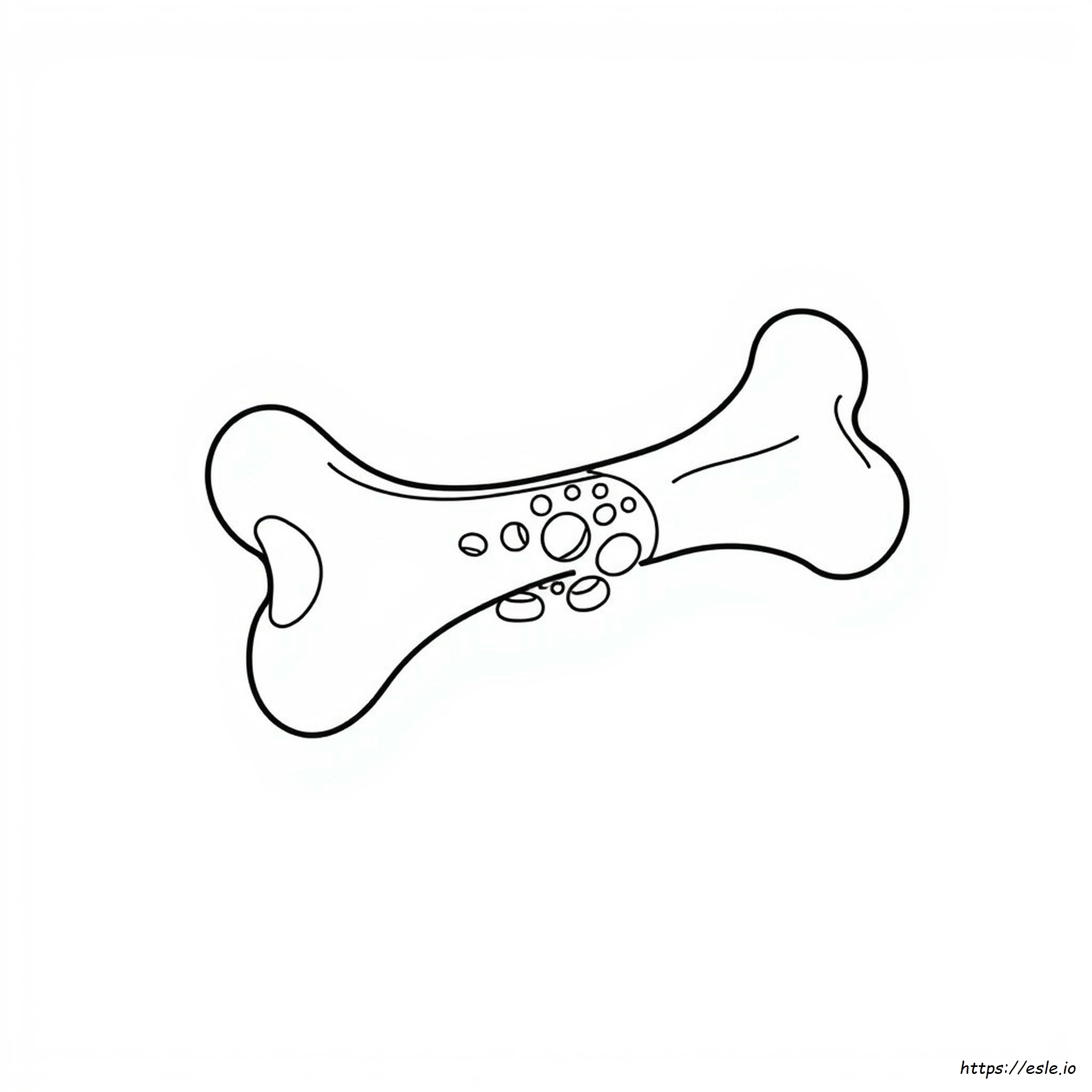 Anatomia Di Un Osso Da Colorare
