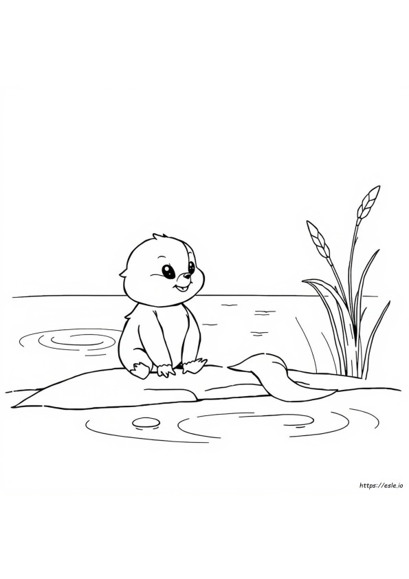 Buizel Coloring Pages