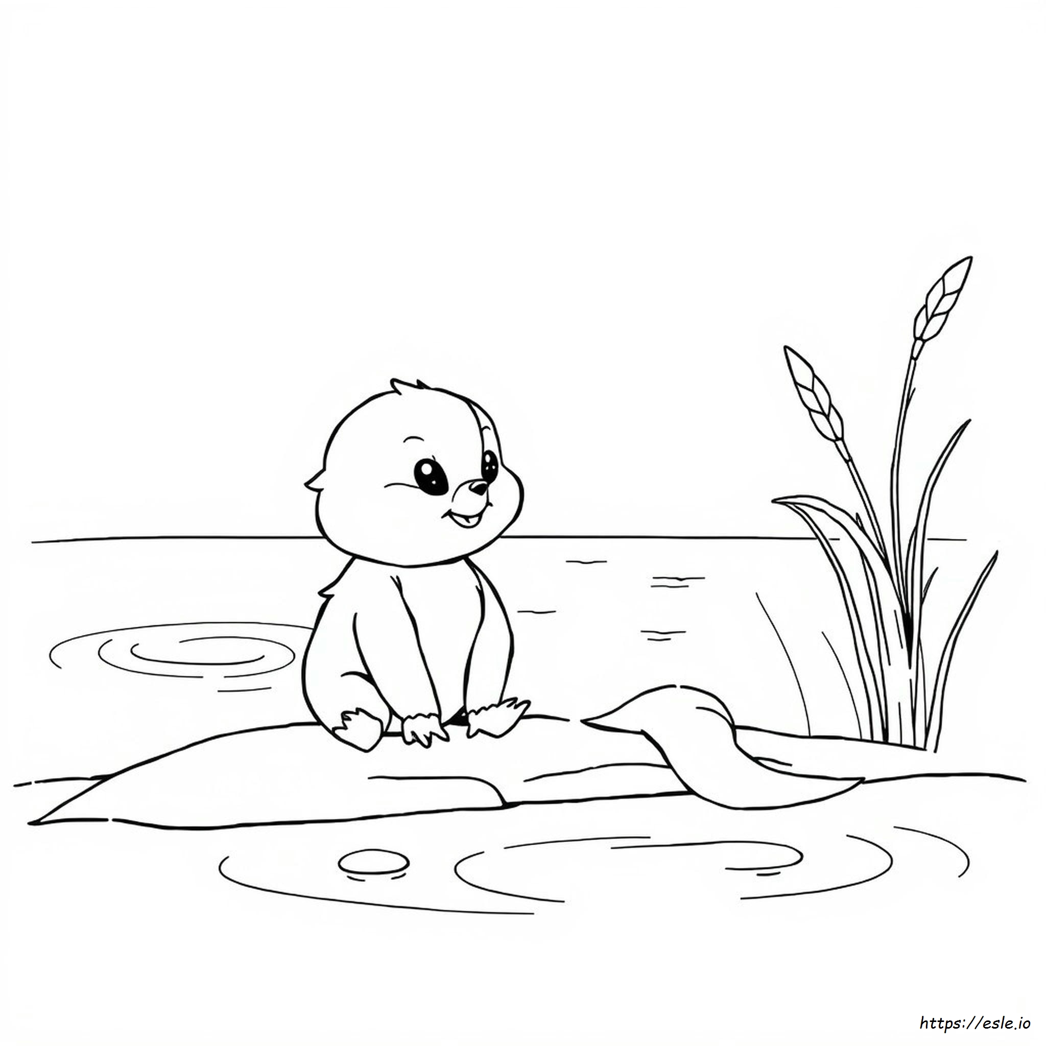 Buizel Para Colorear