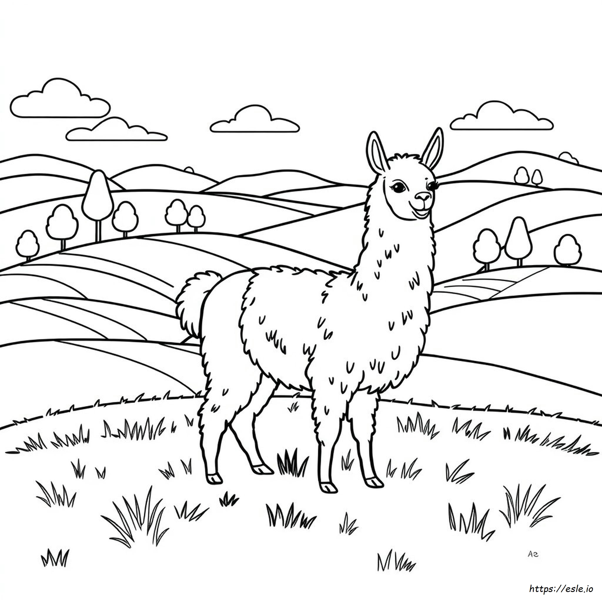Llama Printable Coloring Pages