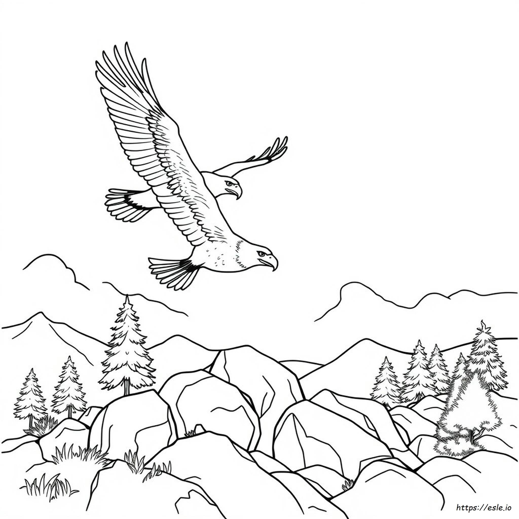 Bald Eagle Coloring Pages Printable