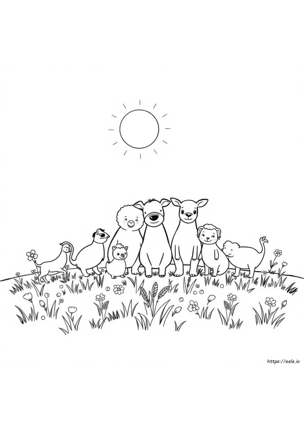 Animorphia Coloring Book Pages