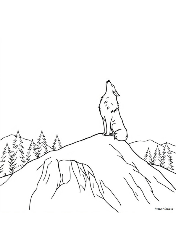 Wof Coloring Book
