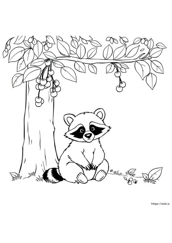 Colo<R>Iage  Raton Laveu<R>