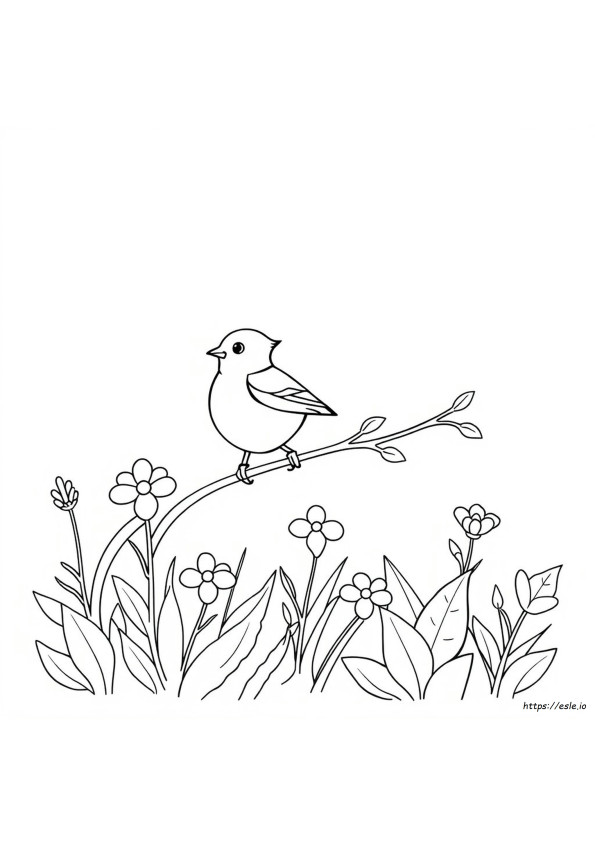 Songbird Coloring Pages