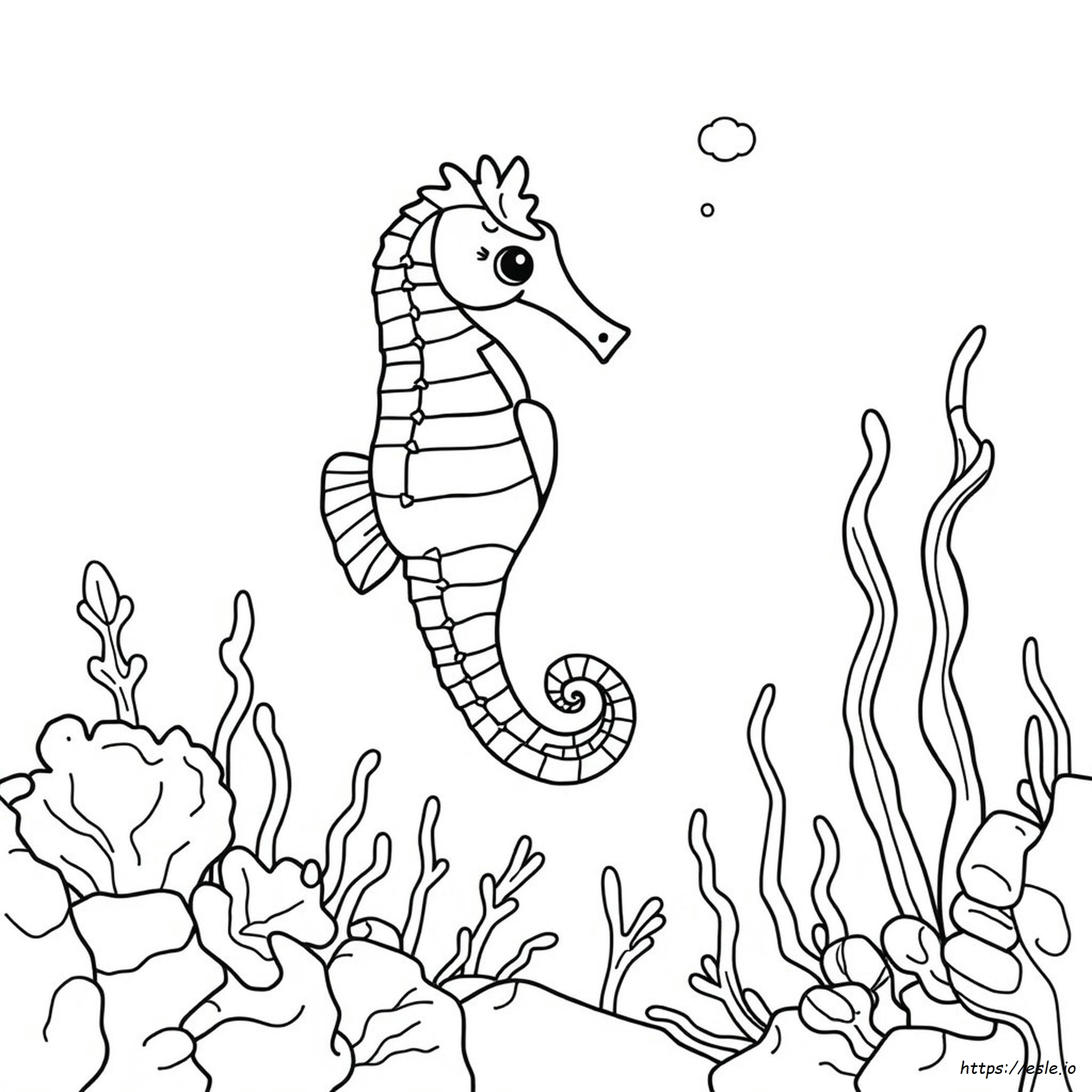 Sea Horse Colouring Pages