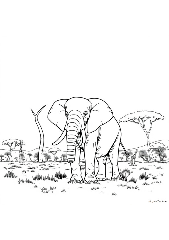 Desenhos De Elefante Para Colorir