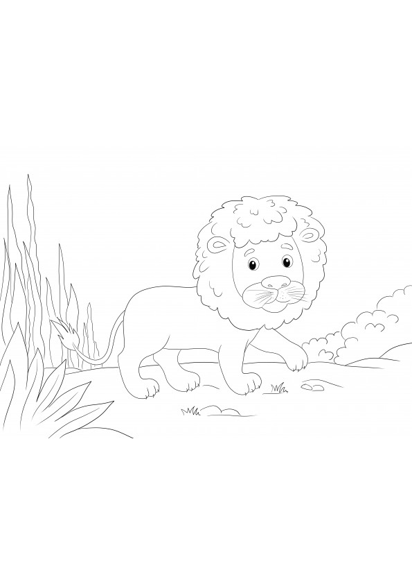 A cute lion walking in the wilderness is ready to be printed and colored
