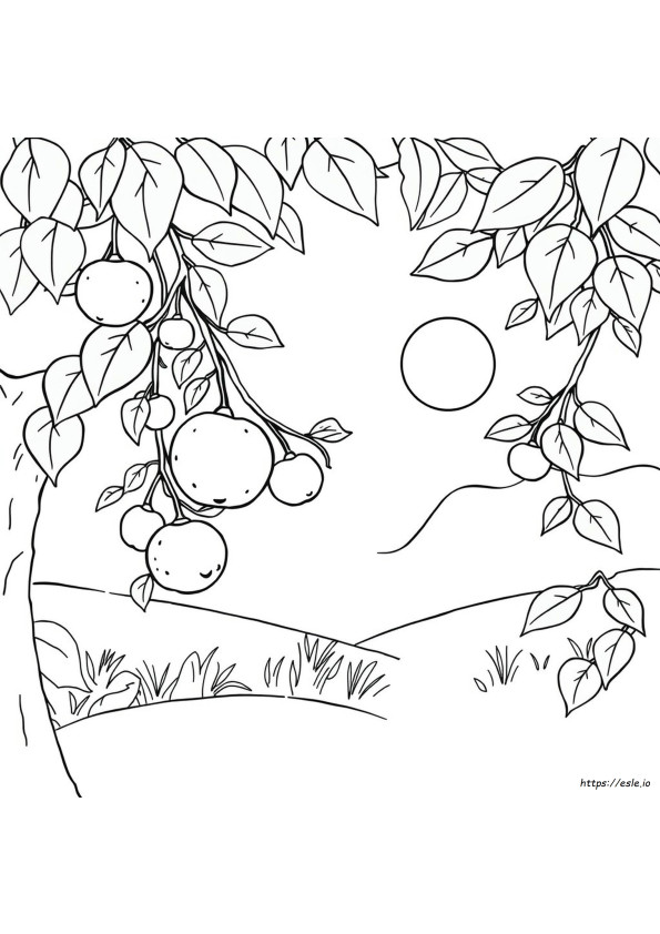 Fruits Images For Colouring