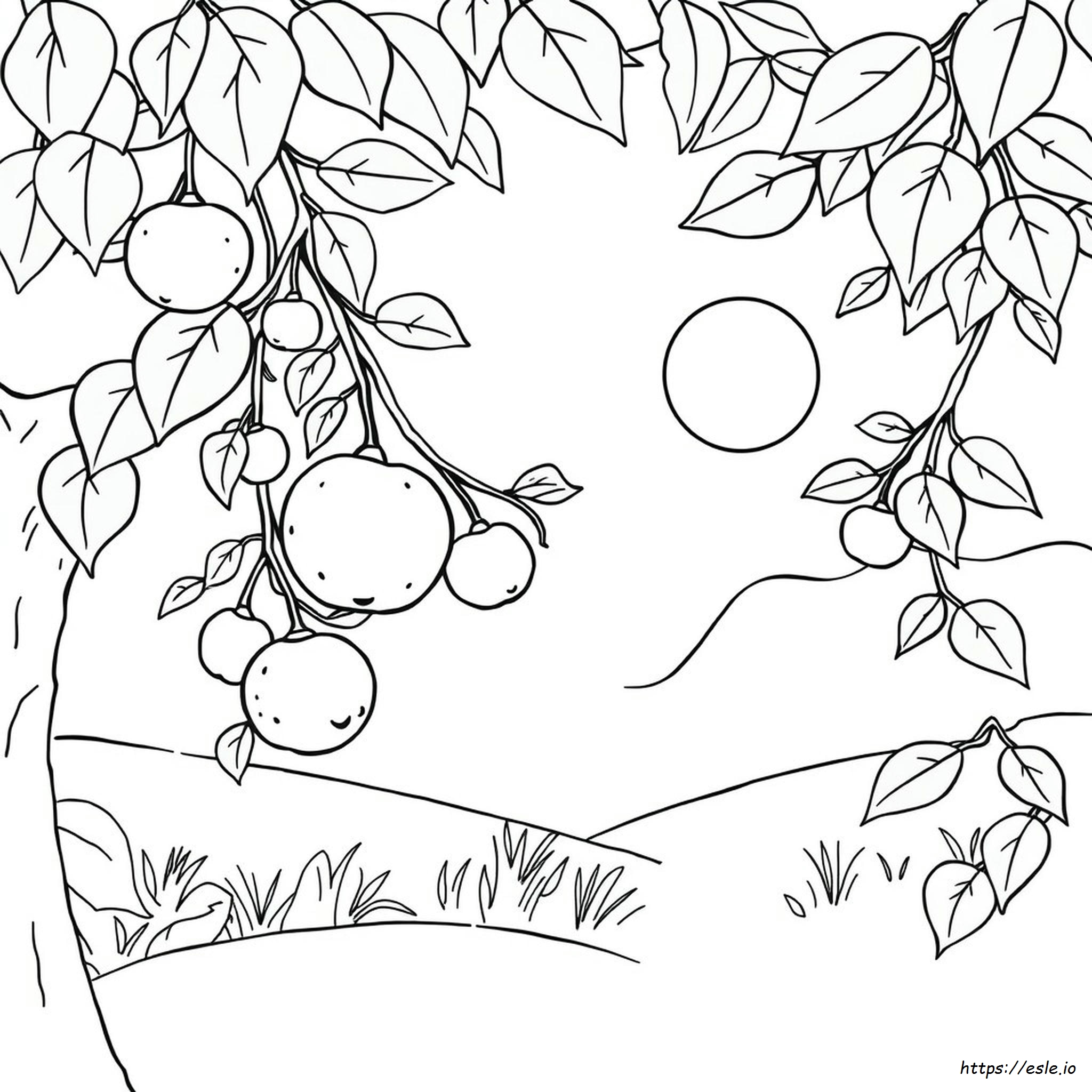 Fruits Images For Colouring