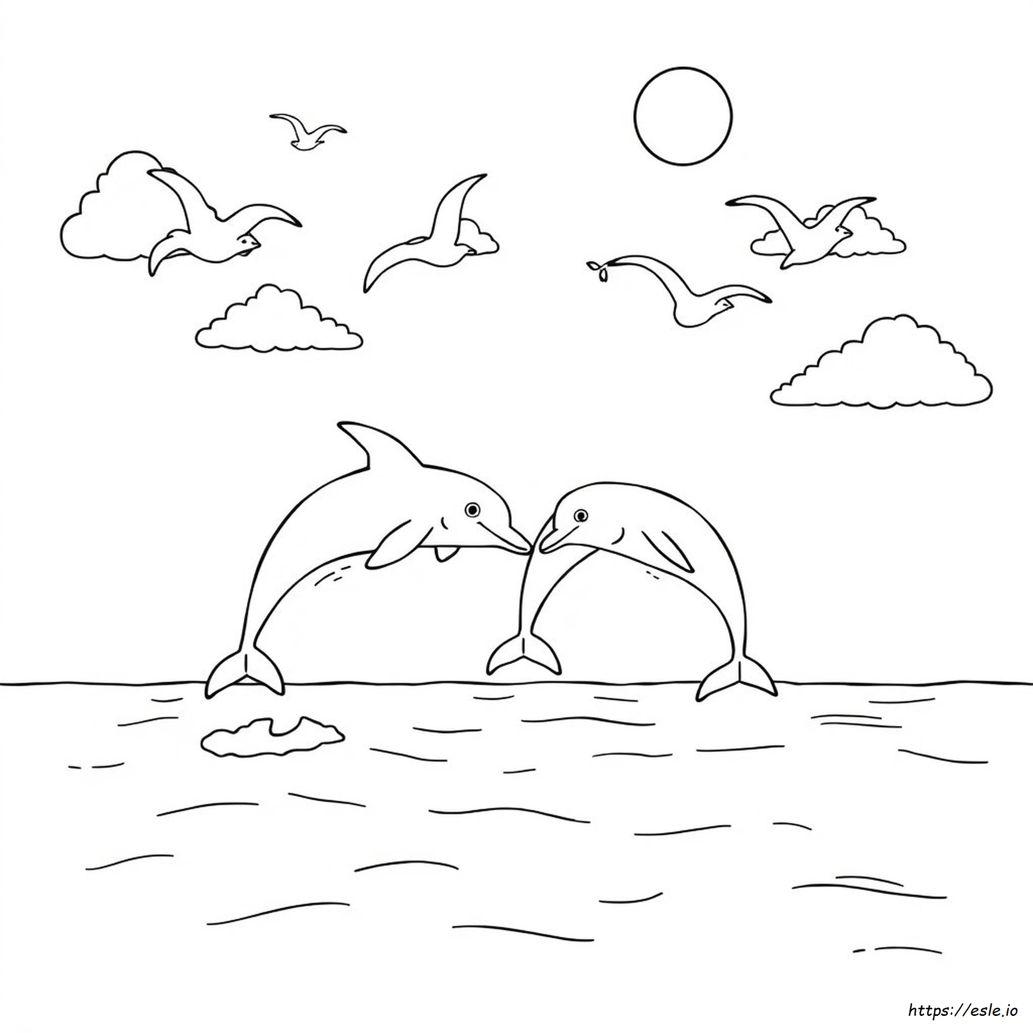 Dolphin Colouring Pictures