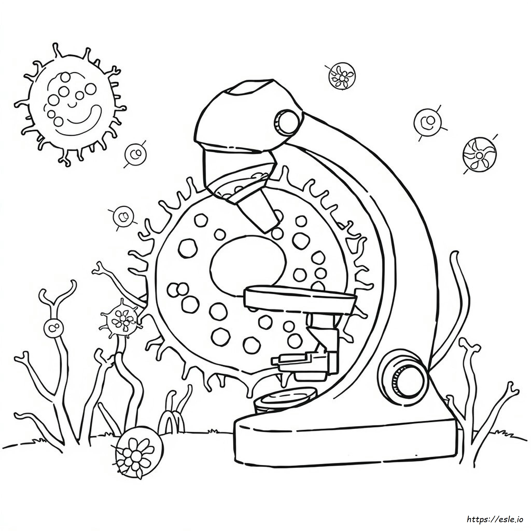 Biology Coloring Book Pages