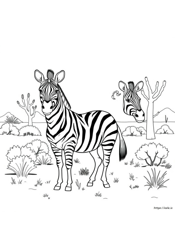 Gambar Mewarnai Zebra