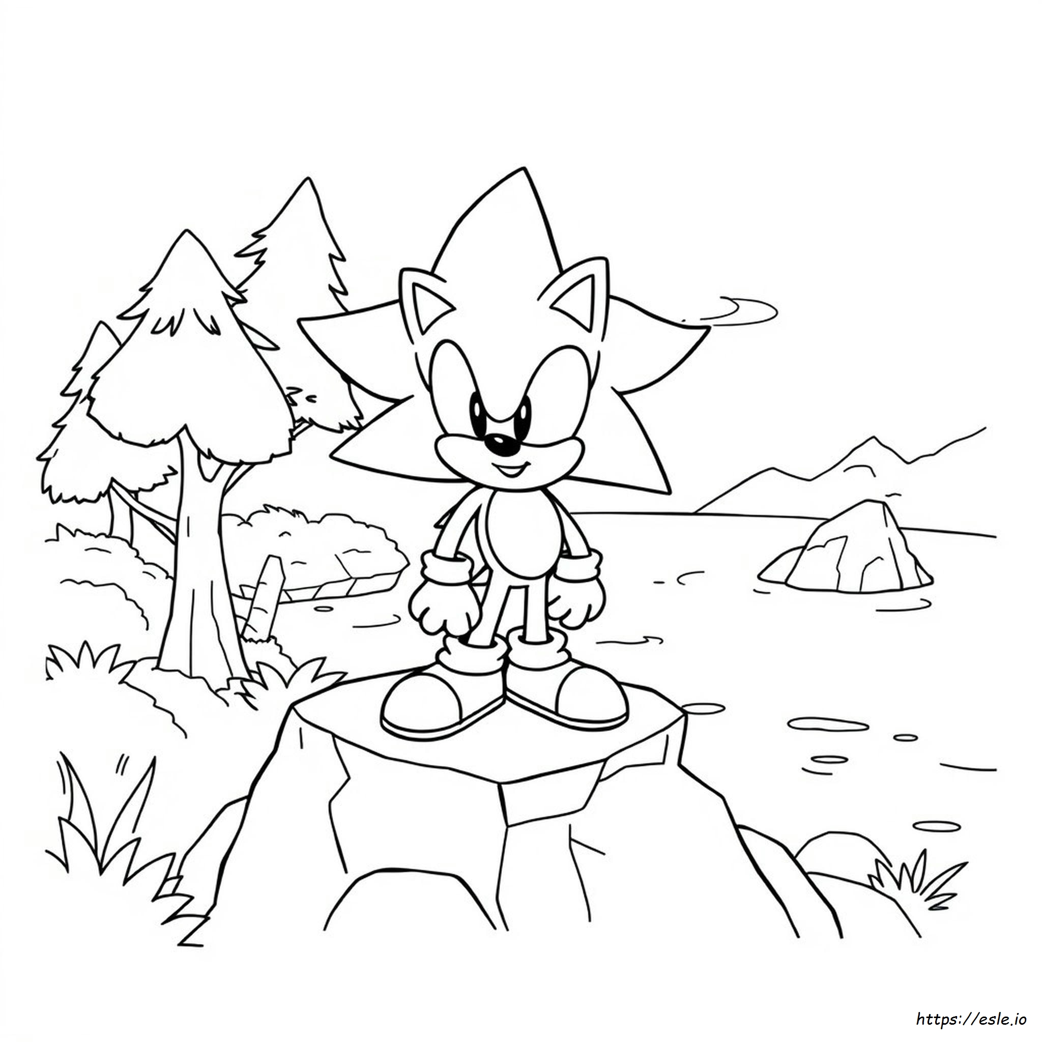 Manic The Hedgehog Coloring Pages