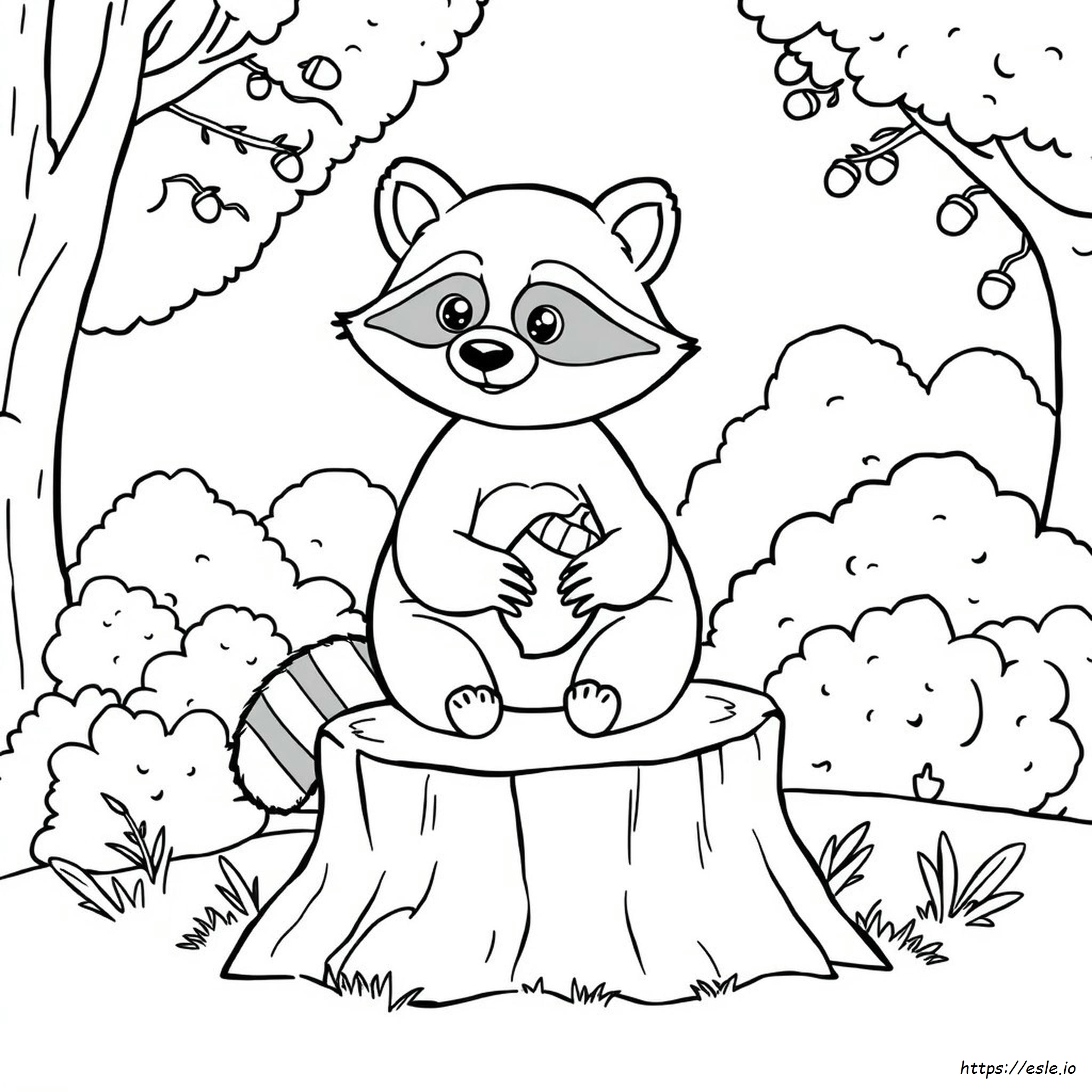 Coloring Pages Of Raccoons