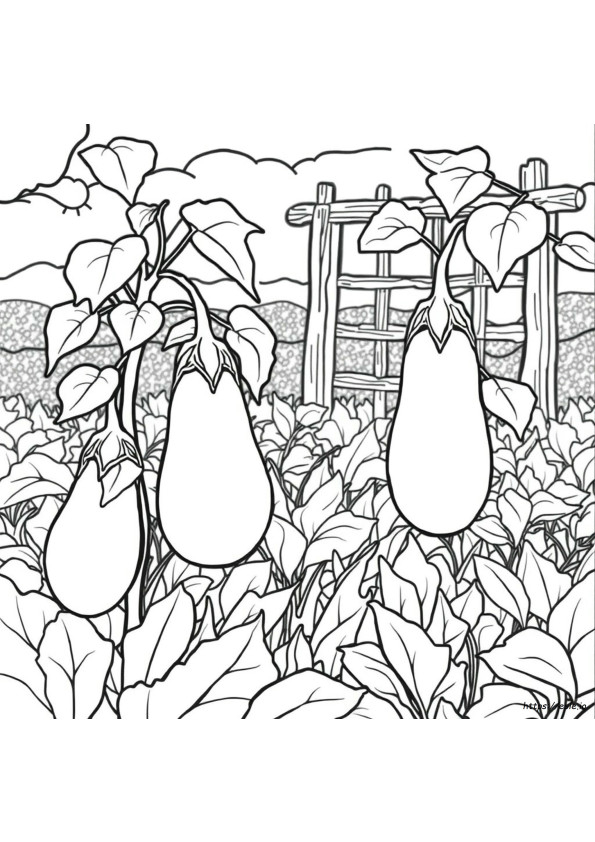 Berenjena Para Colorear