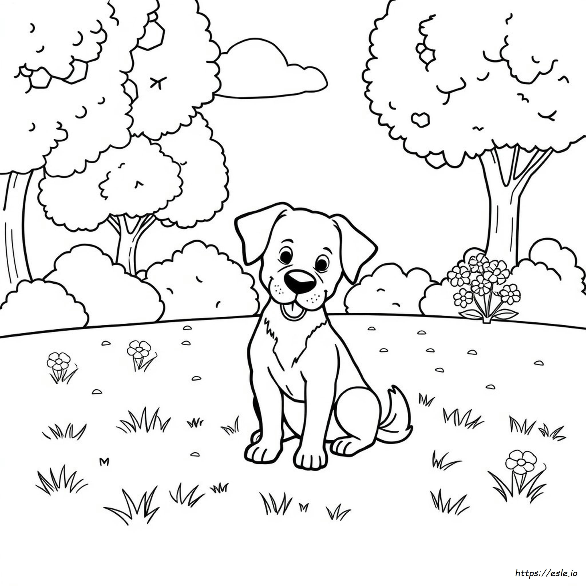 Hunde Bilder Ausmalbilder