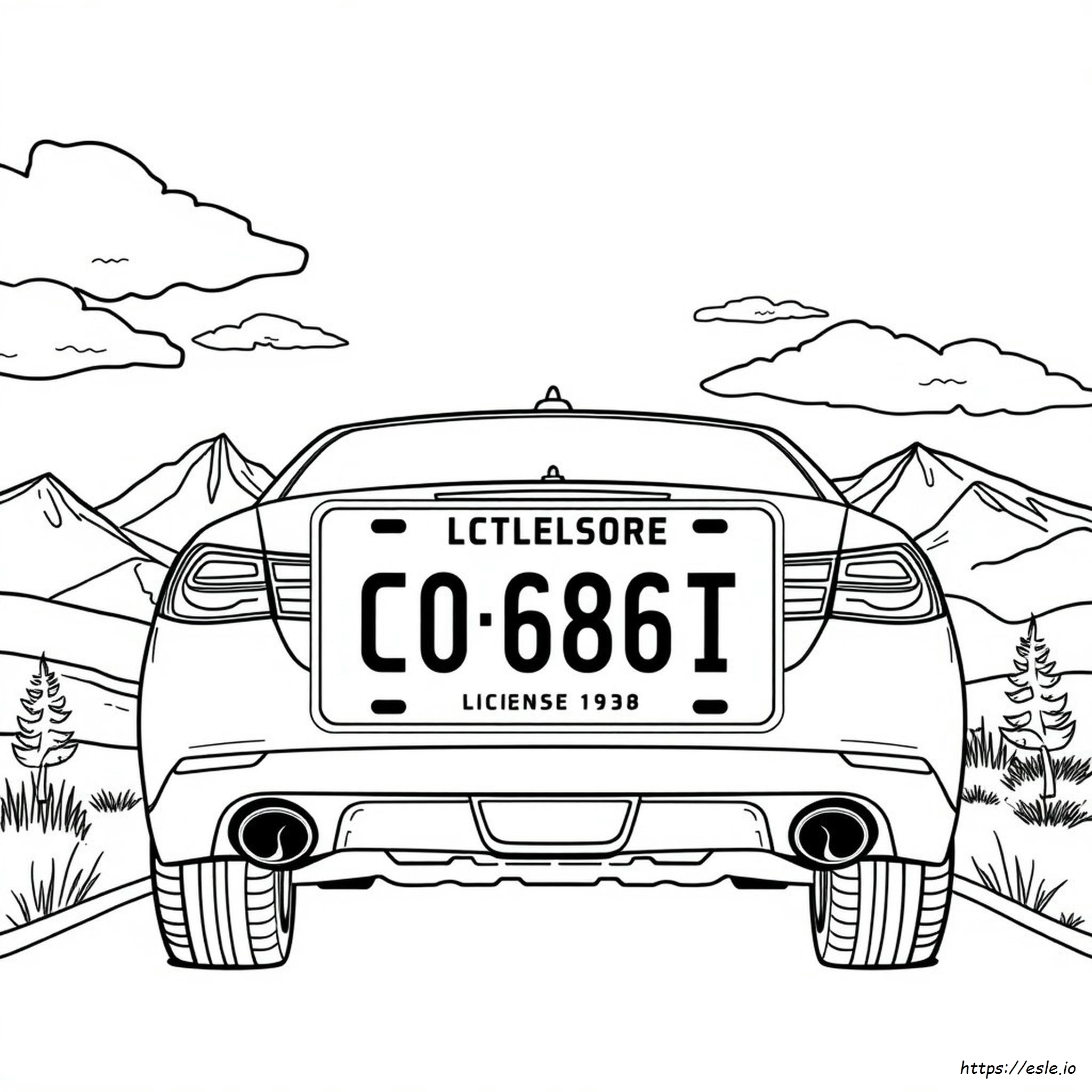 Can You Paint Your License Plate In Colorado