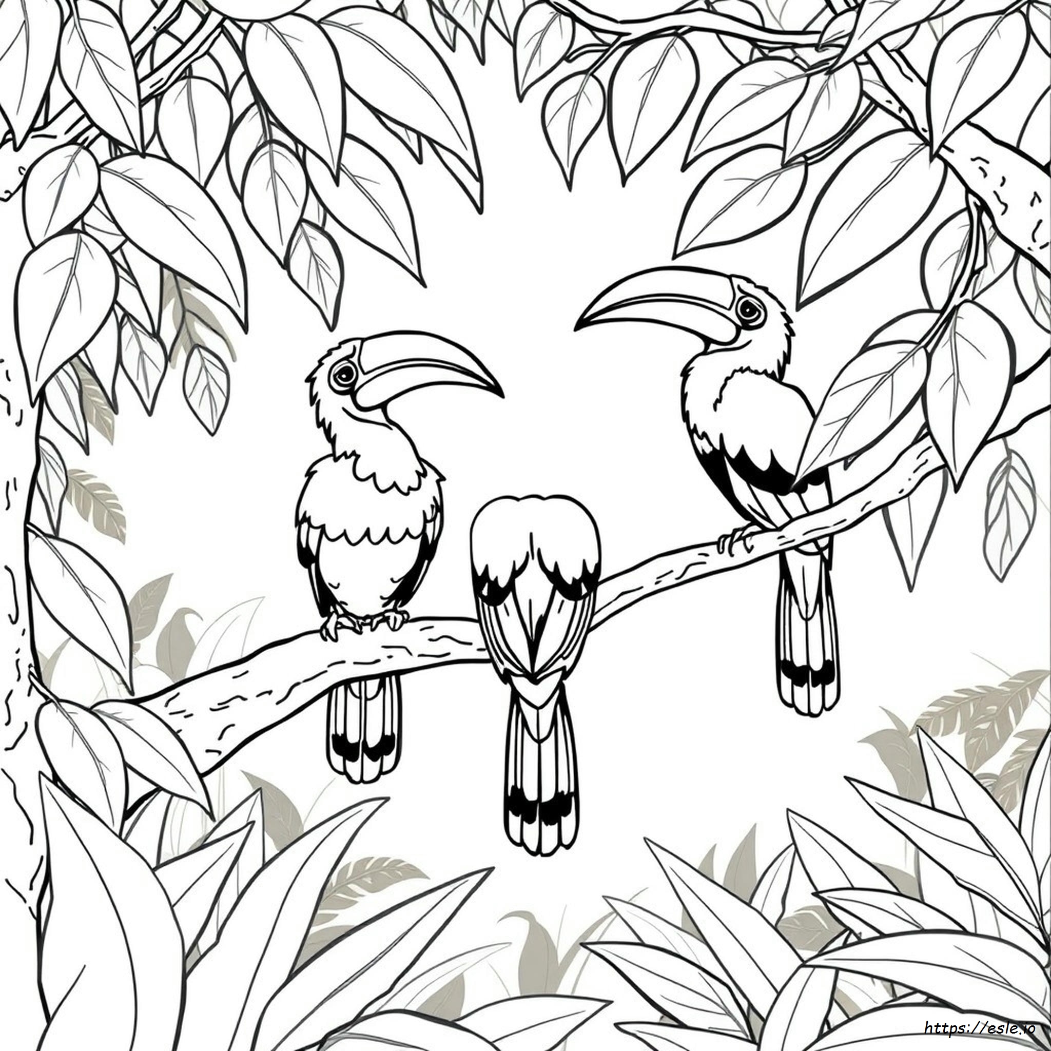 Hornbill Coloring Page