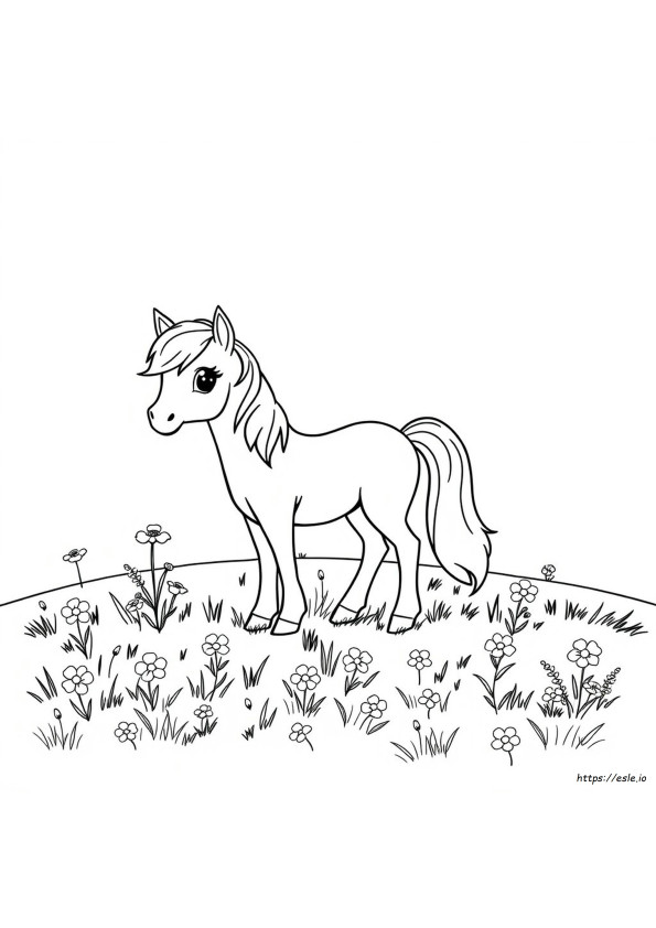 Poney Colouring