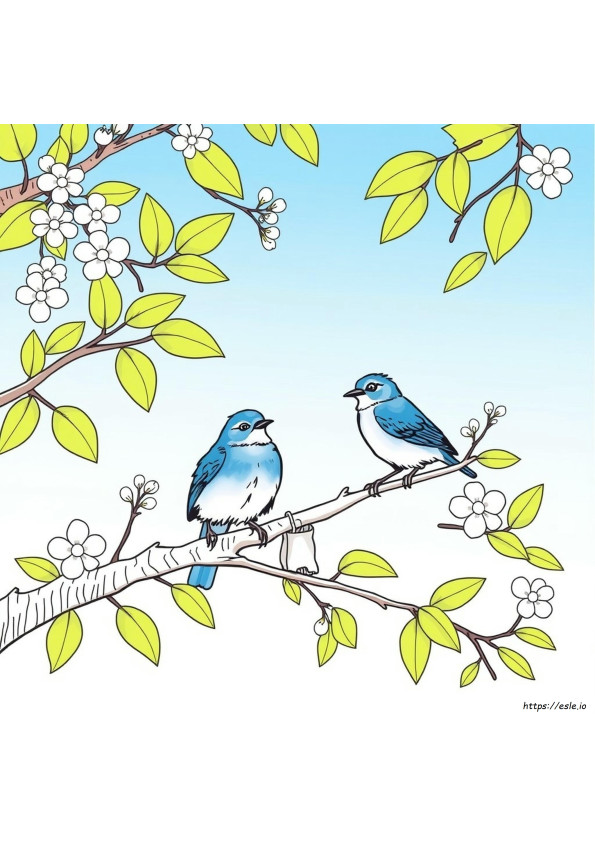 What Color Are Bluebirds