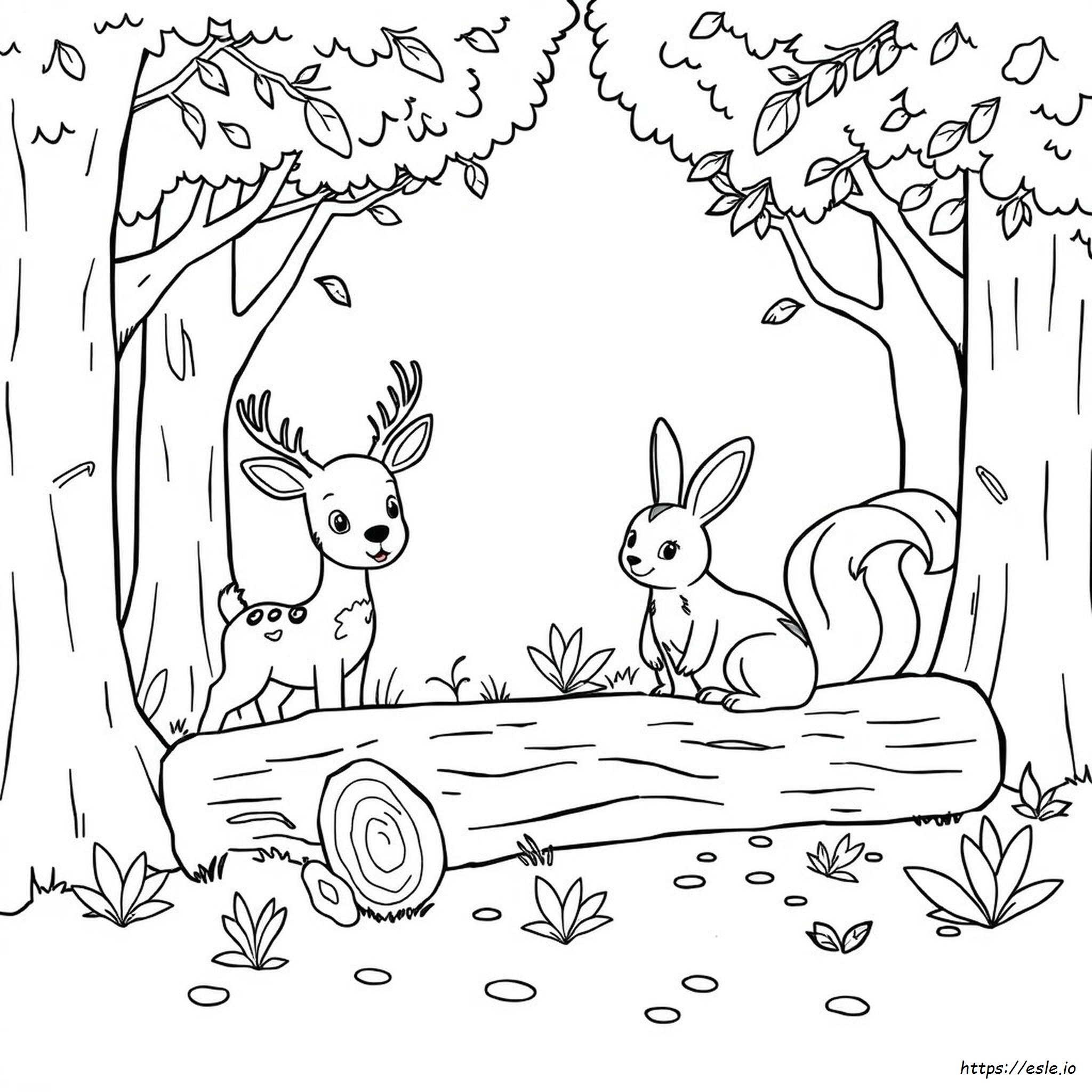 Woodland Creatures Coloring Pages