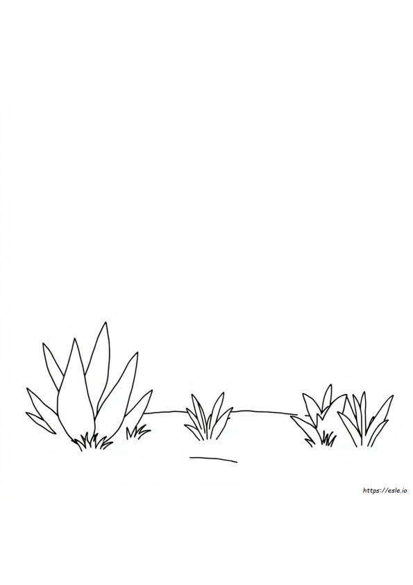 Jpg To Coloring Page