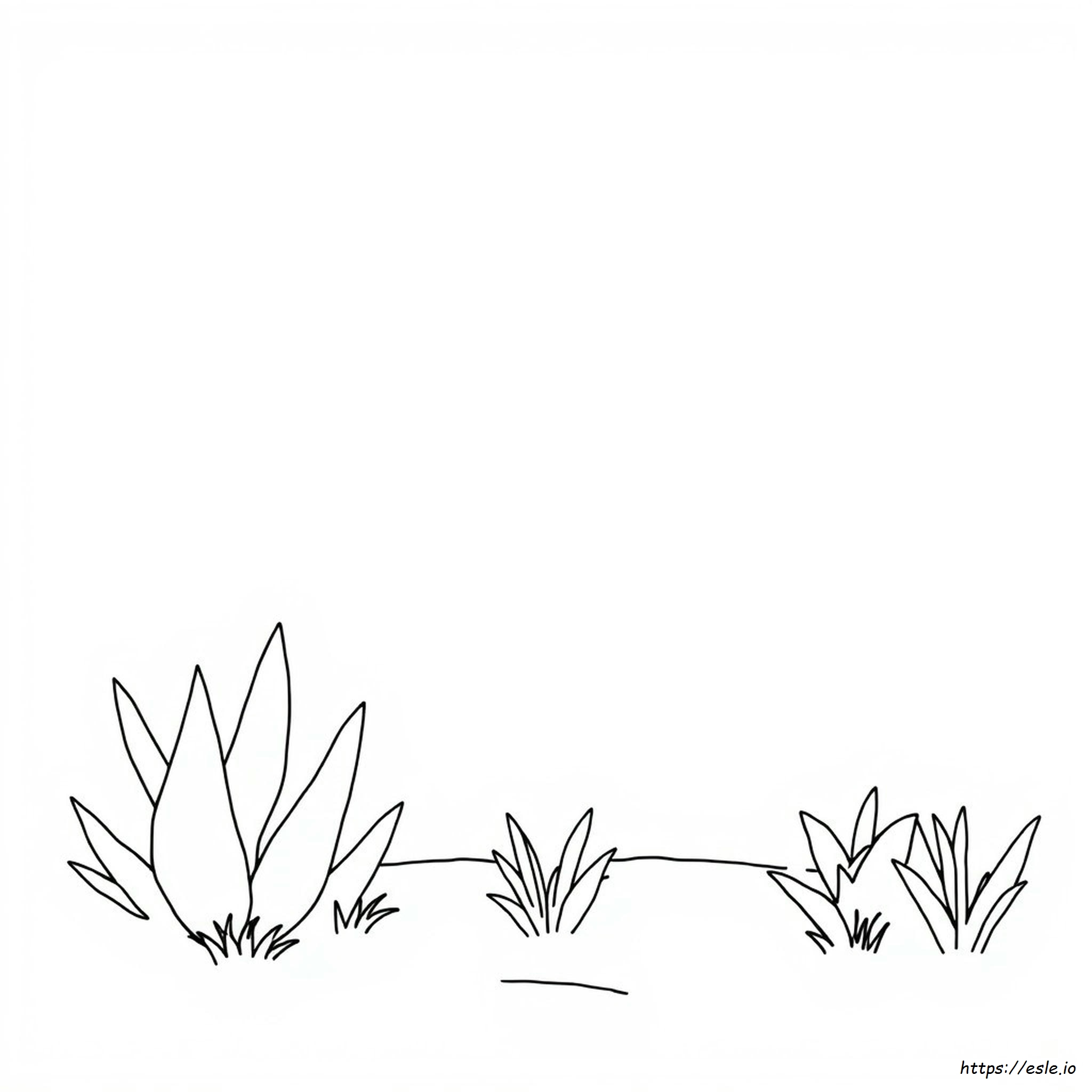 Jpg To Coloring Page