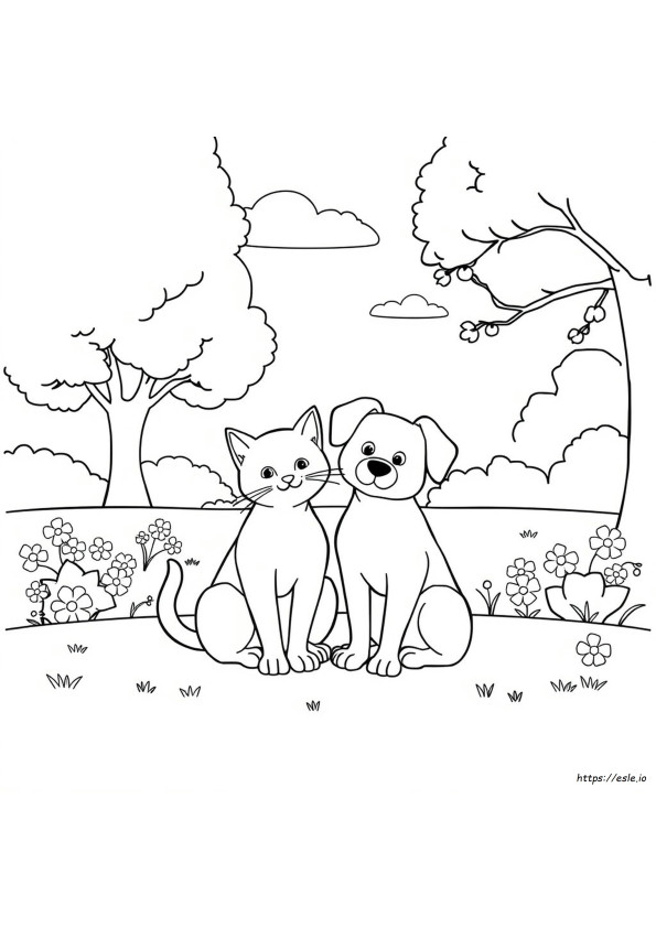 Cat And Dog Coloring Pictures