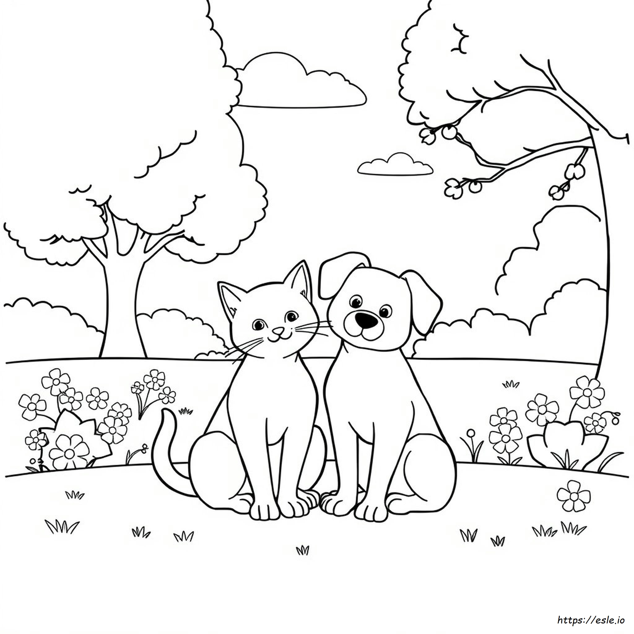 Cat And Dog Coloring Pictures