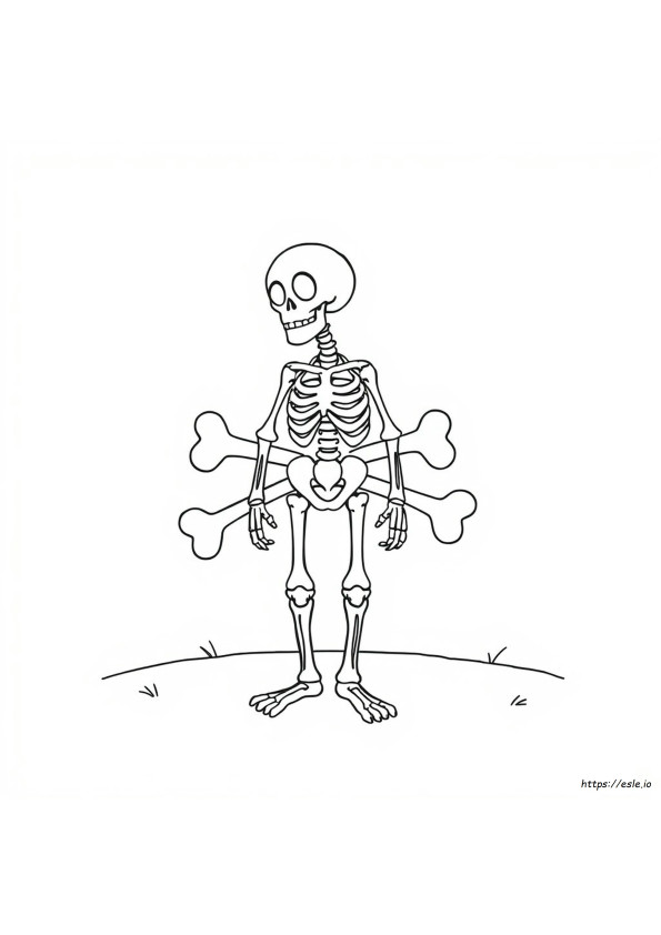 Easy Skeleton Coloring Pages