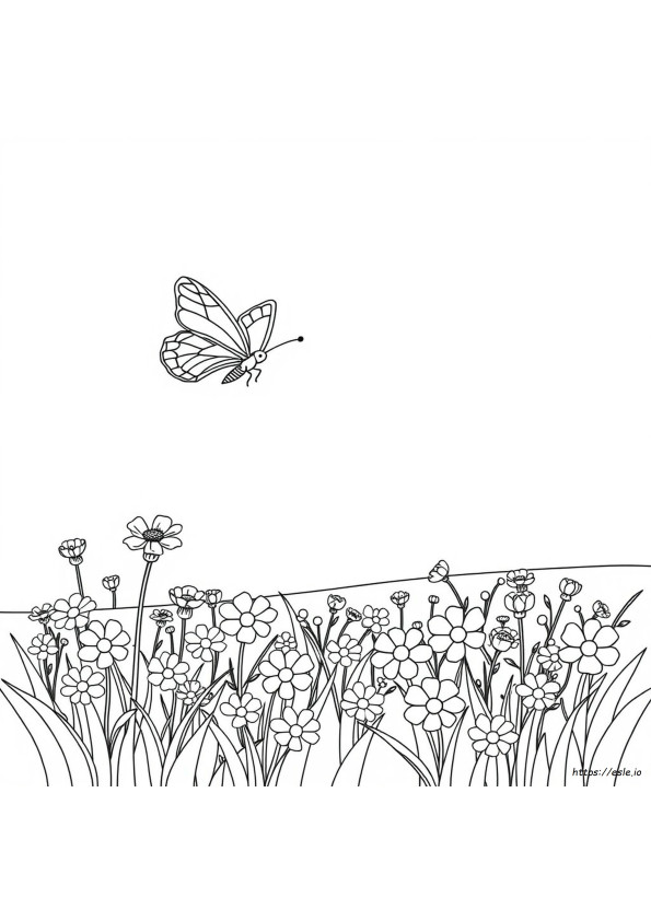 Libro De Mariposas Para Colorear