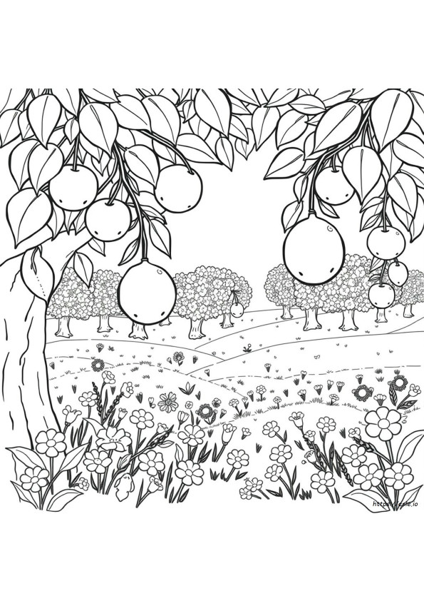 Fruit Picture For Colouring