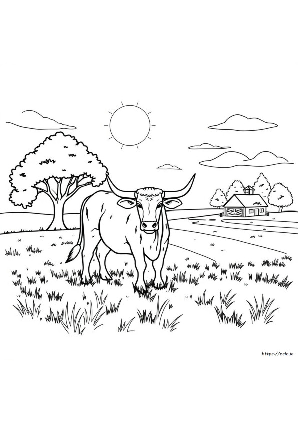 Livre De Coloriage 50 Nuances De Taureau