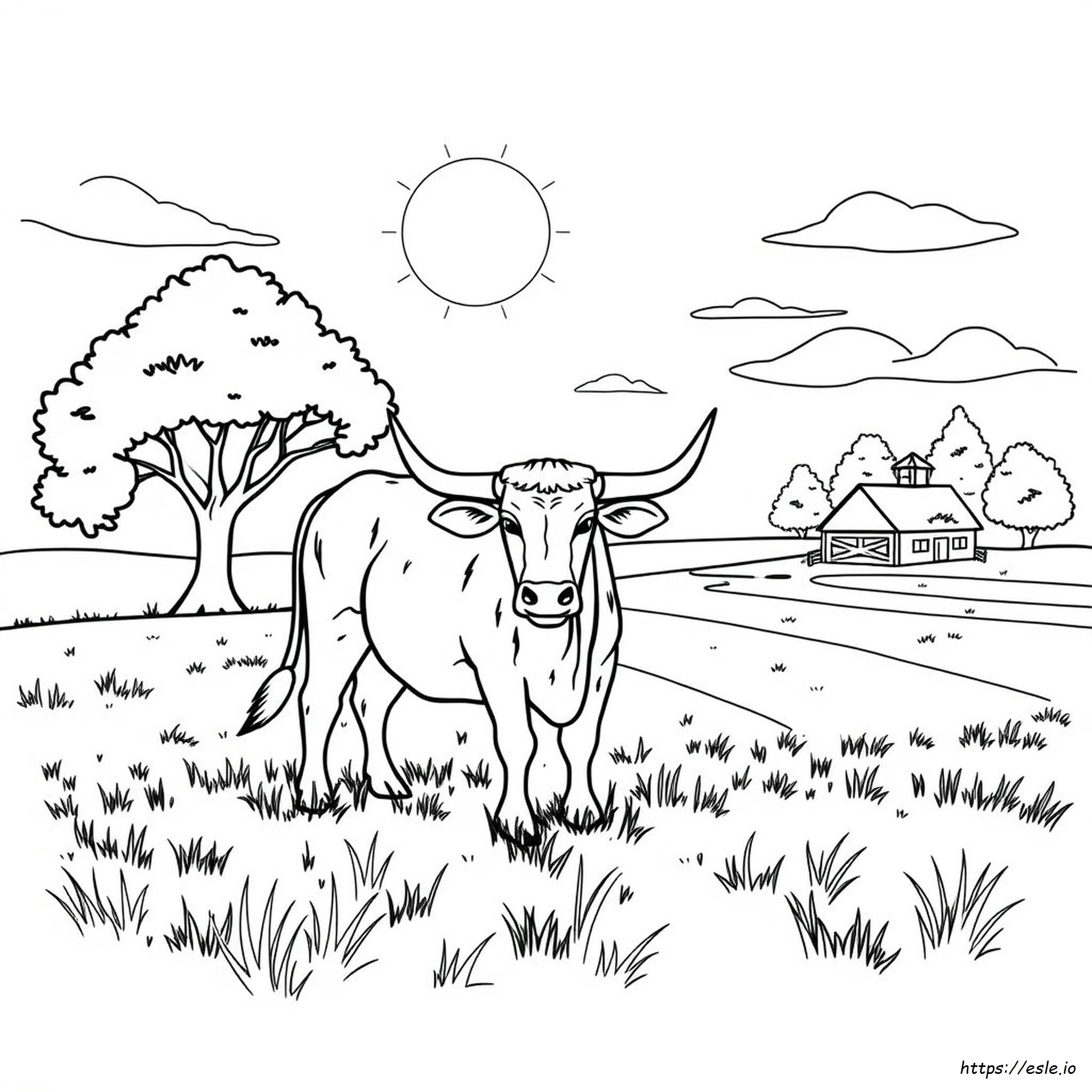 50 Shades Of Bull Coloring Book